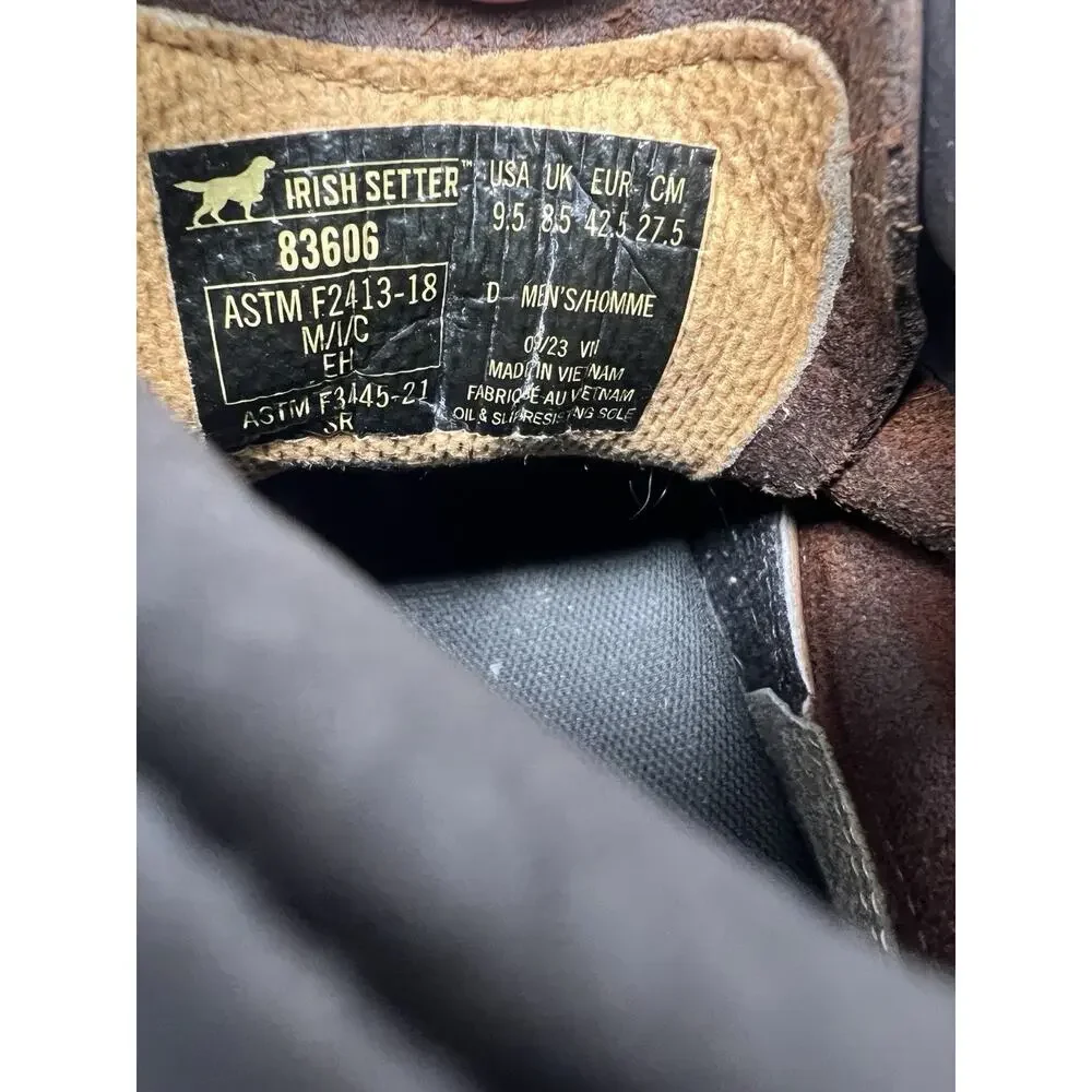 Irish Setter Ashby 6